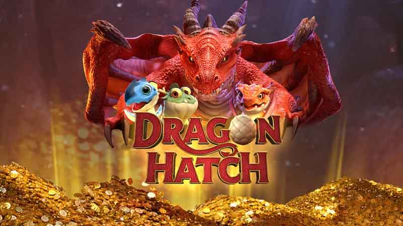 Dragon Hatch